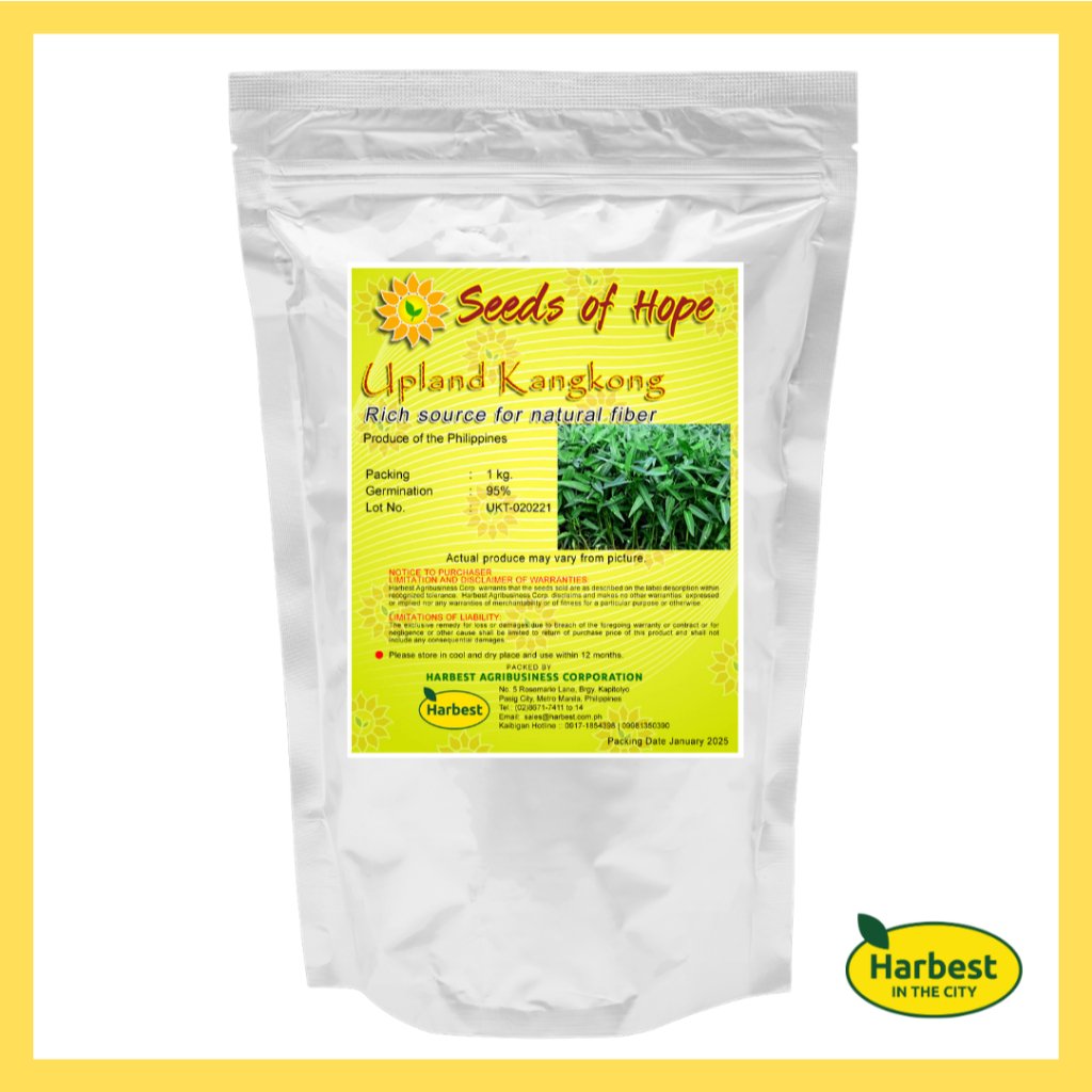 Ph 11134207 7rasm m8ztqcy6h571c3.jpeg