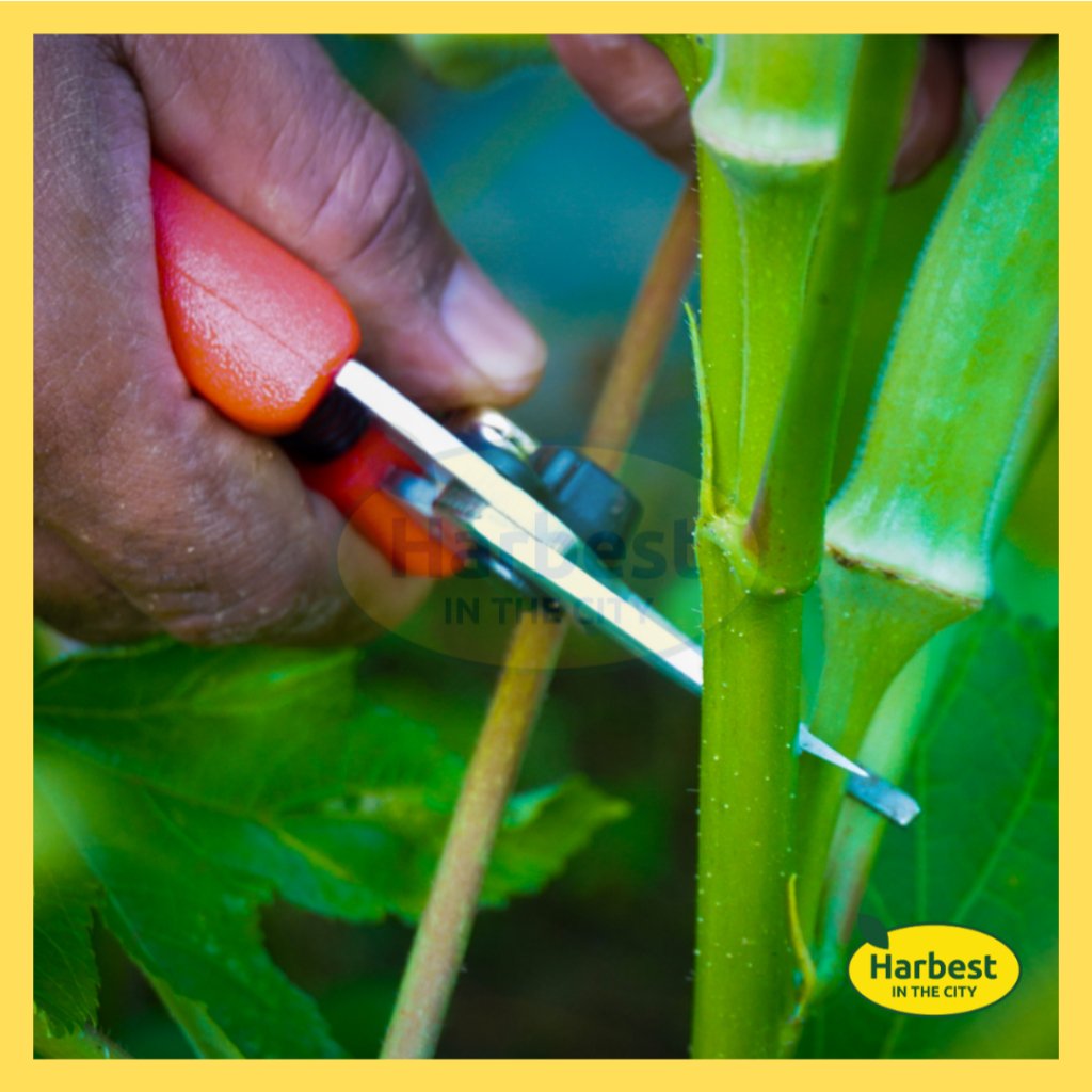 Ph 11134207 7rasm m9fdudycelpd48.jpeg