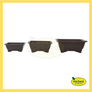 Ph 11134207 7ra0j mbm1ehelmvwz7d.jpeg