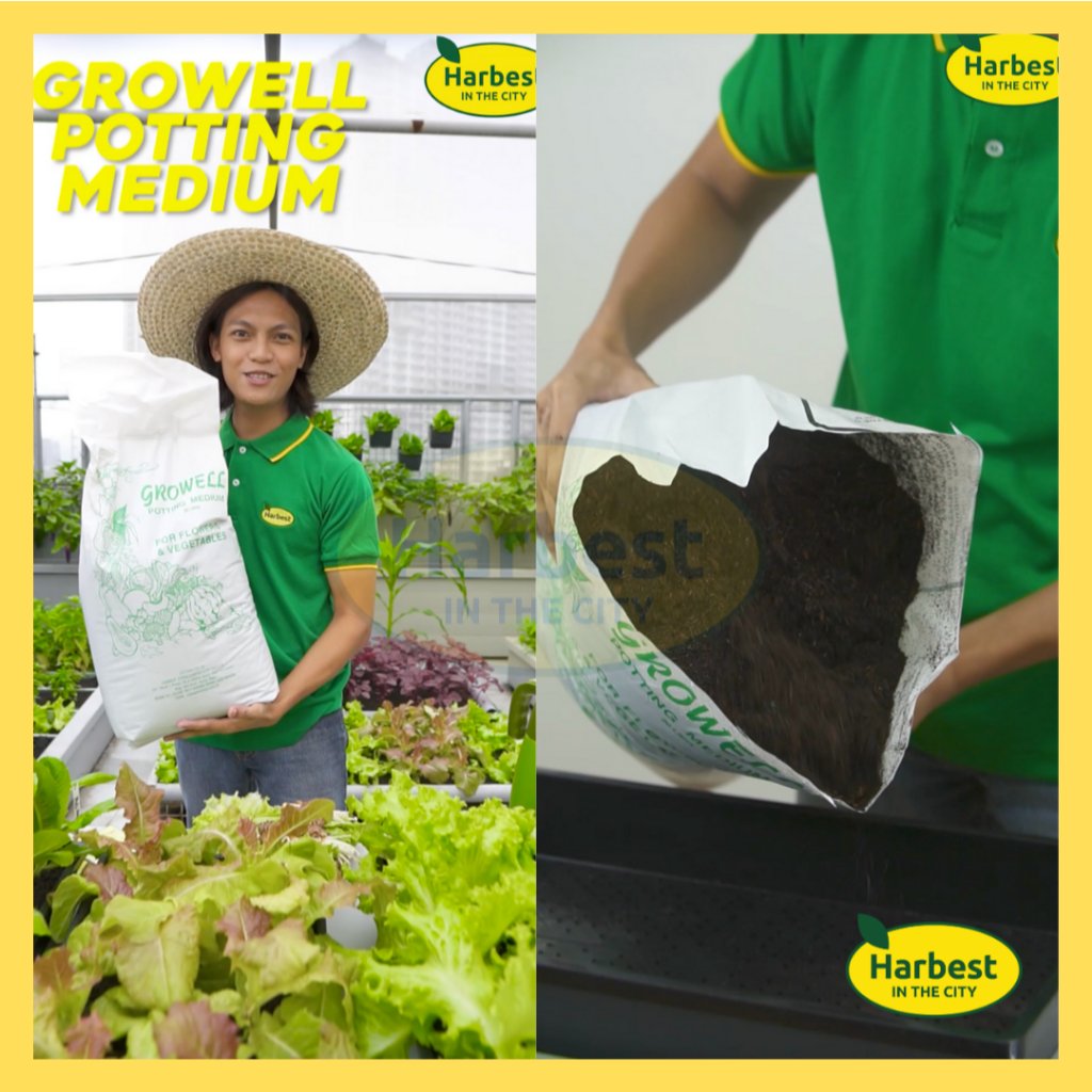 Ph 11134207 7ra0k mbgfrtc47d8yec.jpeg