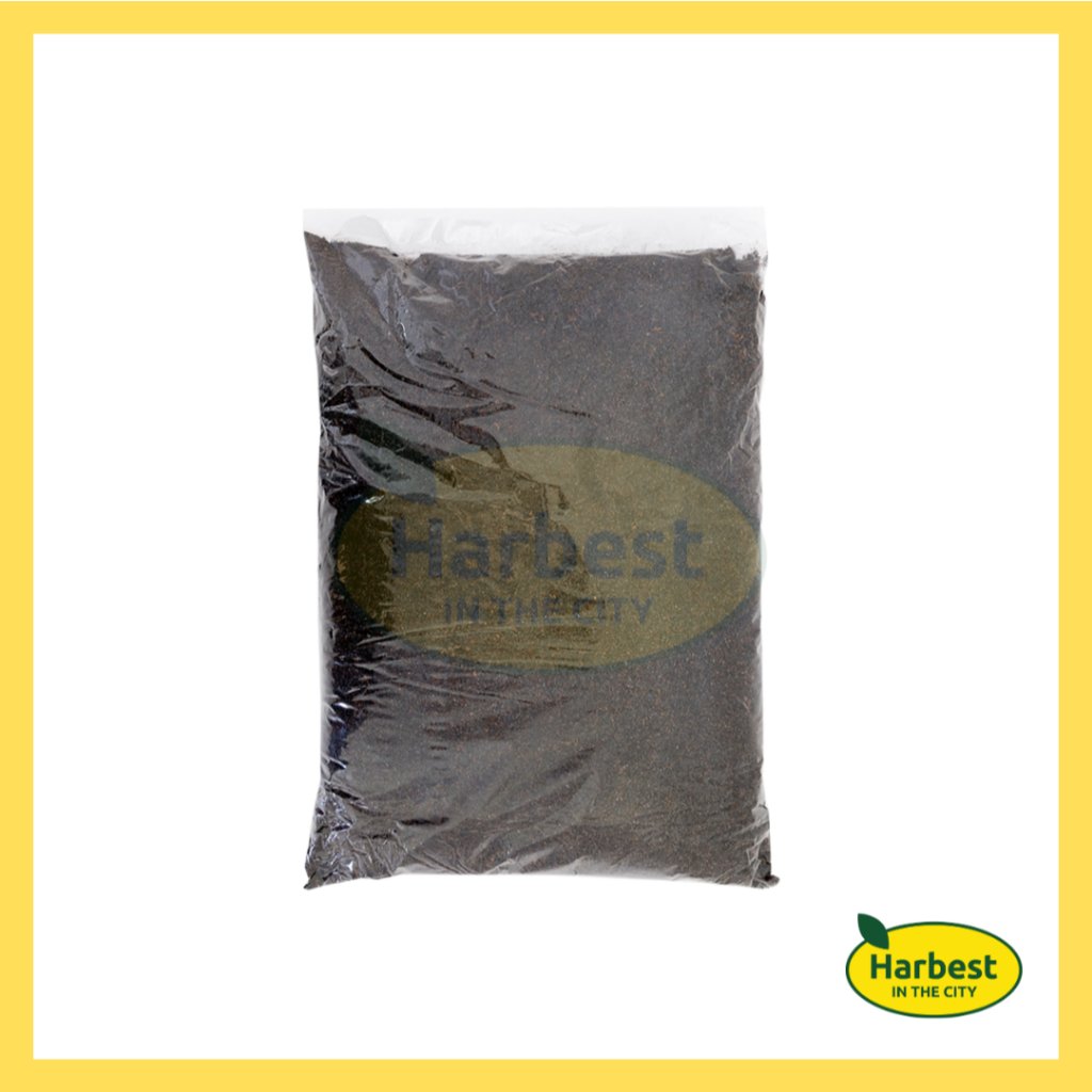 Ph 11134207 7ra0o mbggjeyu5902bd.jpeg