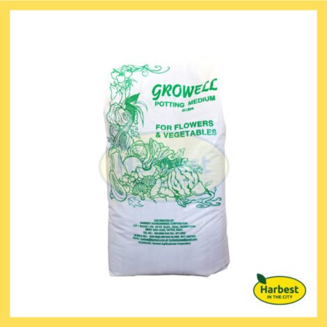 Ph 11134207 7ra0s mbggjacww24y6b.jpeg