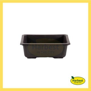 Ph 11134207 7ra0t mbm1eu1n4zr35a.jpeg