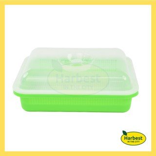 Ph 11134207 7ra0m mcrdlrpbo4e833.jpeg