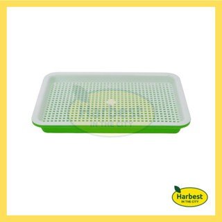 Ph 11134207 7ra0q mcrdlyepuvcw18.jpeg