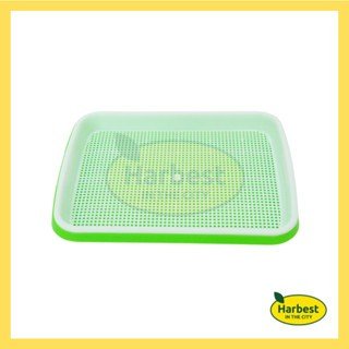 Ph 11134207 7ra0t mcrdlydvxhs0e1.jpeg