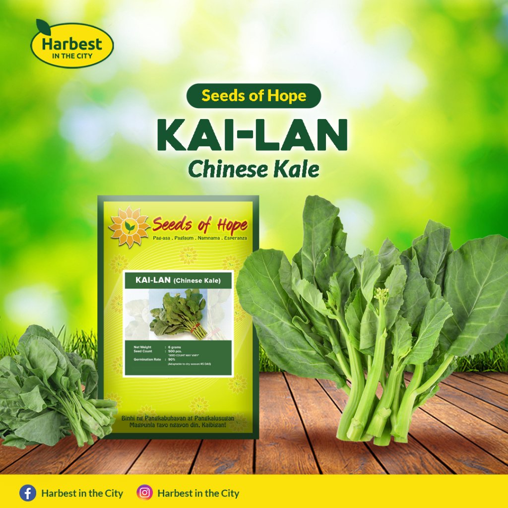 Ph 11134207 7ra0m mda3a8wzbzggf5.jpeg