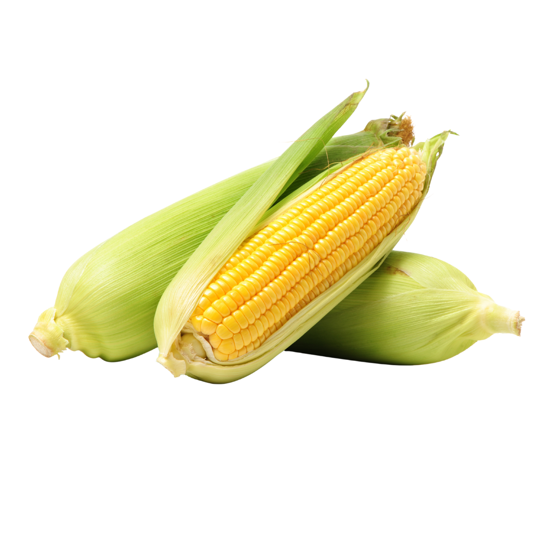 Corn 2